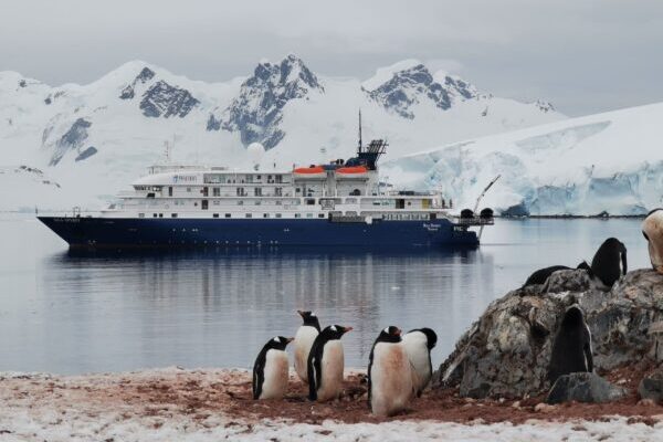 Home - Antarctica Travels | Antarctica Cruises Best Price
