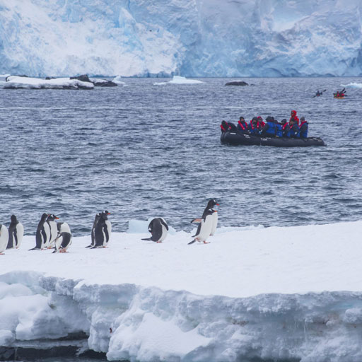 Antarctic Explorer Express