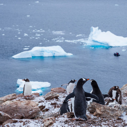 Falklands-Malvinas and Antarctic Peninsula